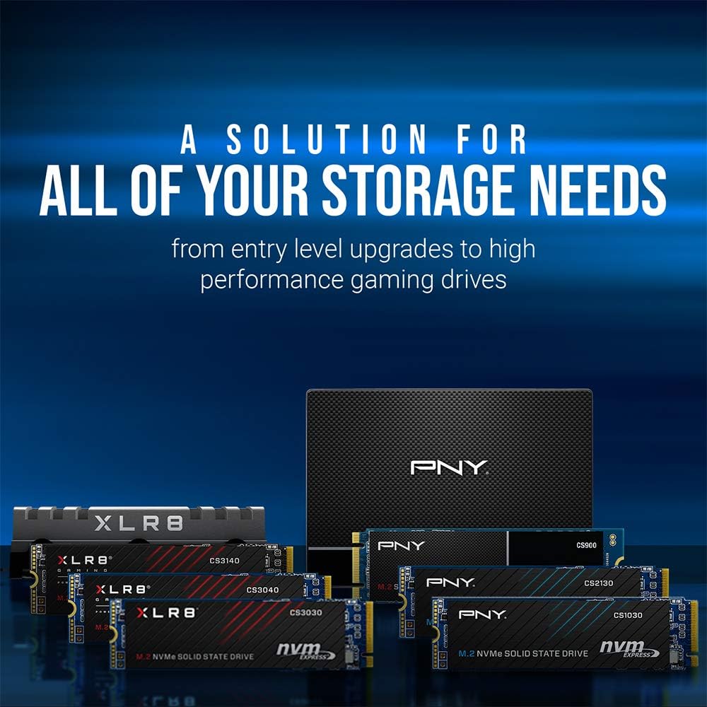 PNY SSD